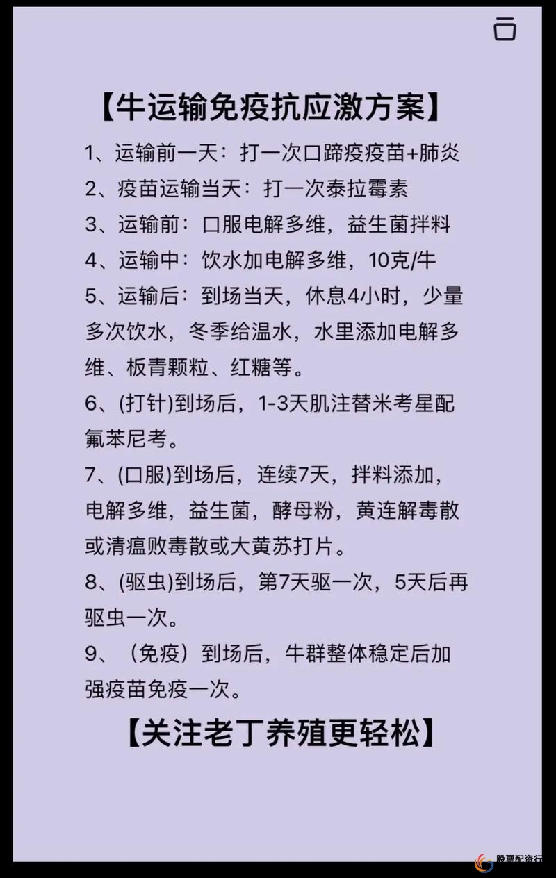 牛策略_牛策略_牛策略