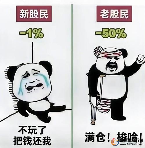 股票配资安全吗_股票配资风险_民间配资公司案例