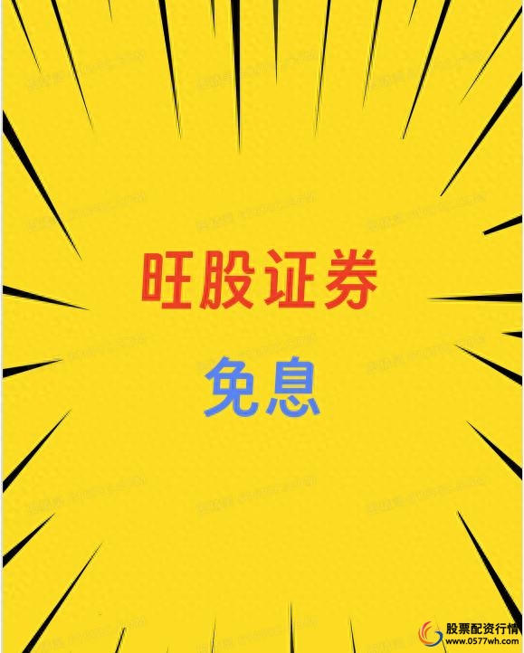 保守型投资者股票杠杆推荐_股票中的杠杆_股票杠杆稳赚方案