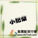 情感小肥柴