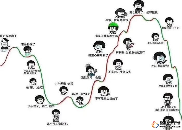 老股民股市故事_老年股民投资经验_炒股怎么赚钱