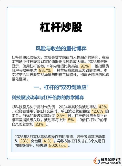 股市杠杆风险控制_炒股杠杆是什么意思_配资炒股杠杆比例