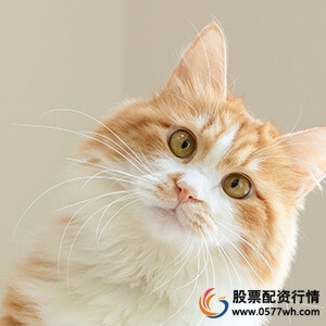 股票配资合法吗_股票配资咨询_股票配资是否违法