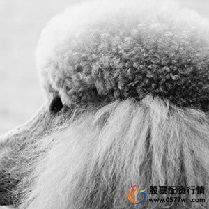 股票配资咨询_股票配资是否违法_股票配资合法吗