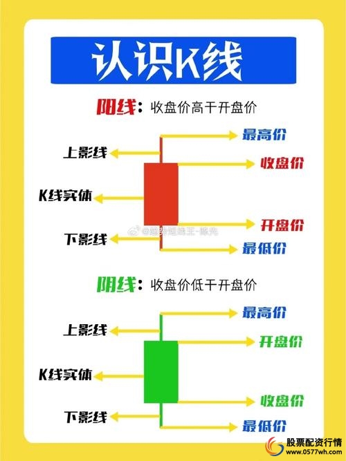 入门级股票知识_股票入门知识_股票入门知识